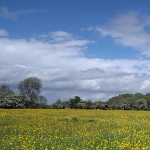 Meet your Posher, Max